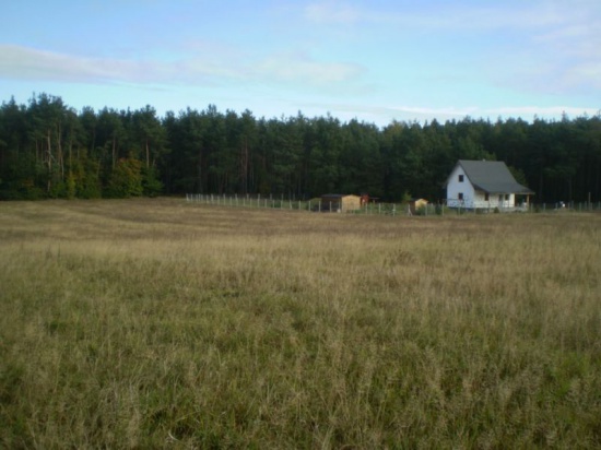 Sprzedam działki - Joniec (50 km od Warszawy!)