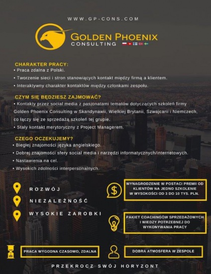 Sales Manager- Social Media